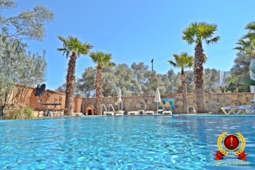 Bodrum Oscar Hotel - Accommodation - Torba