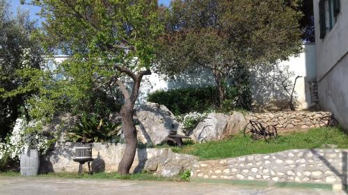  Apartment Renessa in Zadar