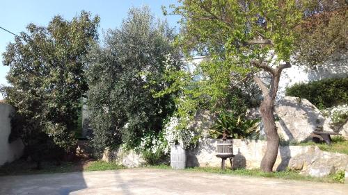  Apartment Renessa, Unterkunft in Zadar