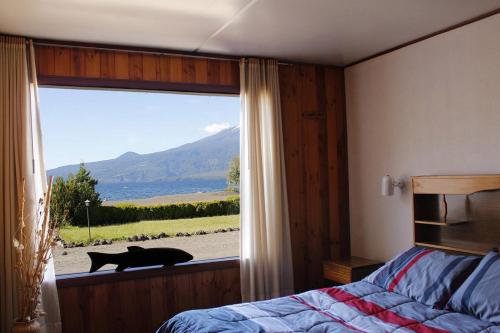 Cabañas & Piscina Rucamalen