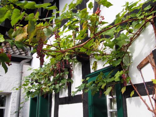 Falderhof in Köln, Deutschland