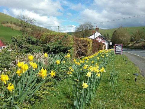 The Red Lion Country Inn B&B self catering - image 2