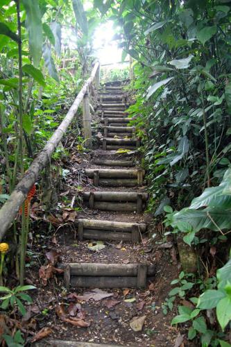 El Jardín de los Colibríes - Pereira, Risaralda