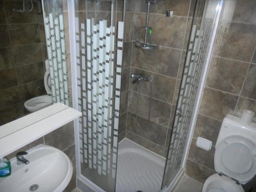 Apartment Zoran Posesi