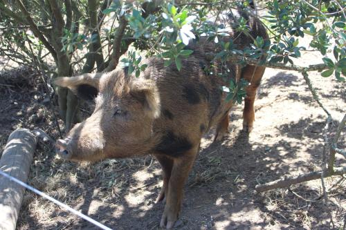 Kula Malaika Foundation Kula Malaika Foundation