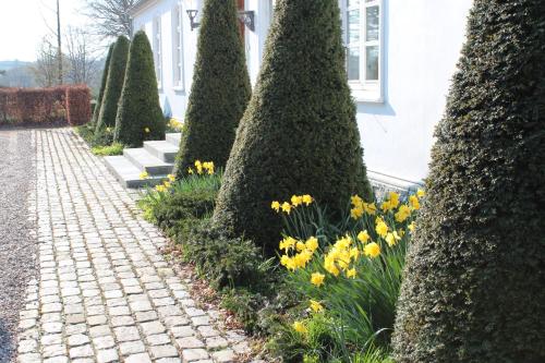 Louiselund Bed & Breakfast - image 13