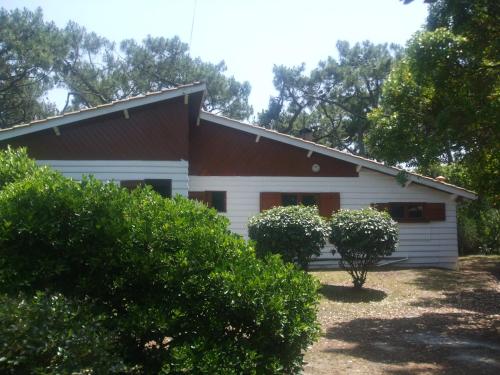 Picotin gîte à louer Cap-Ferret