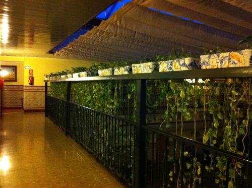 Hotel Sandra