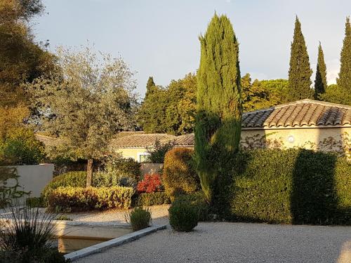 Les Jasmins - Location saisonnière - Saint-Rémy-de-Provence