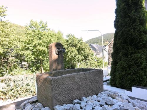 Stylish holiday home near a ski resort - Apartment - Schmallenberg