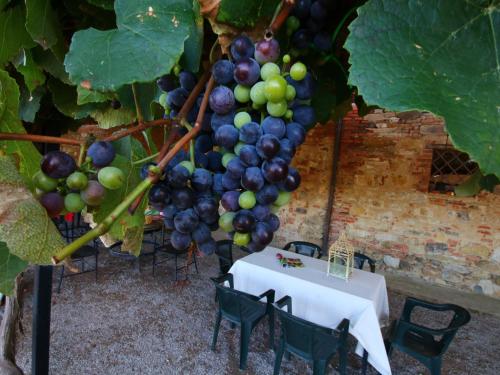 Farmhouse with pool and terrace