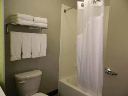 Holiday Inn Express & Suites Shippensburg, an IHG Hotel in Shippensburg, USA
