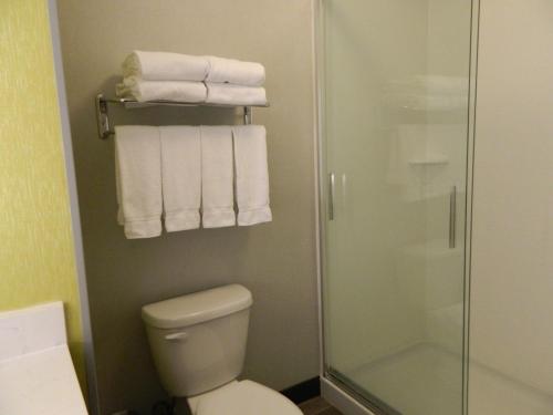 Holiday Inn Express & Suites Shippensburg, an IHG Hotel in Shippensburg, USA