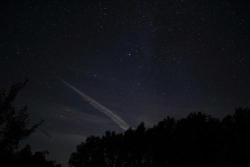 Ferienhaus Amalienhof in Boek