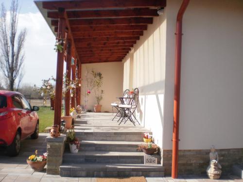 Molni - image 11