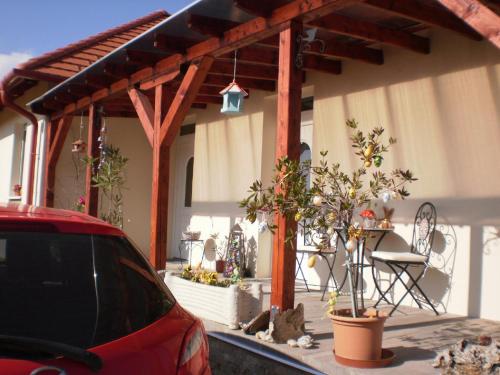 Molni - image 10