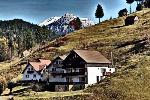 Carpatica Lodge - image 7