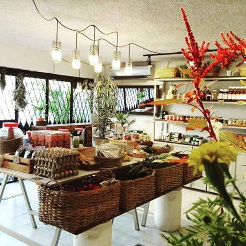 Καταστήματα, Cinco Hotel B&B in San Salvador