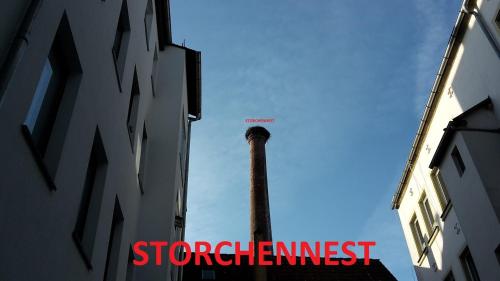 Storchennest - Apartment - Fürth