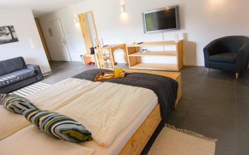 eco boutique hotel AMS Beagle - image 5