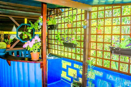 Blue House Ada Bojana Ulcinj - image 6