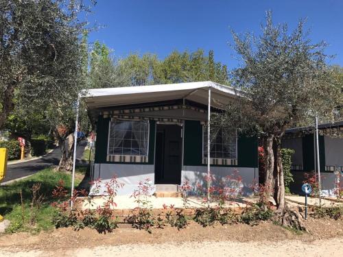 Tent with Shared Bathroom