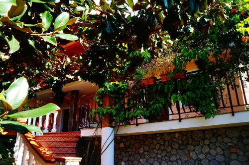 hotel maremonti