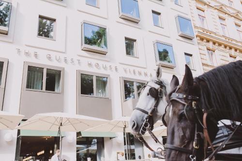 The Guesthouse Vienna, Vienna