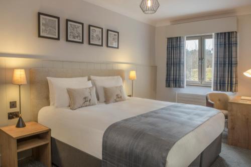 De Vere Beaumont Estate - image 5