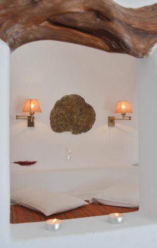 Evi's Studios - image 6