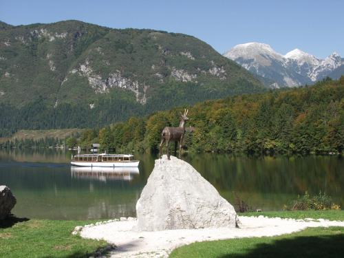 A környék, Apartments and rooms Cerkovnik in Bohinji-tó