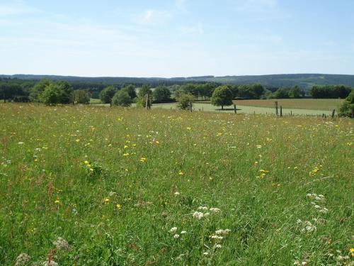  Peaceful Holiday Home in Butgenbach with Terrace in Leykaul