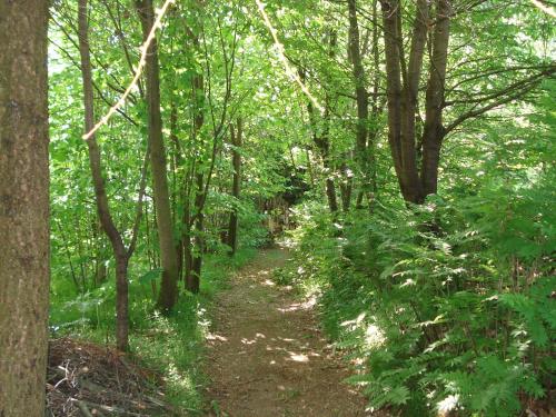  Peaceful Holiday Home in Butgenbach with Terrace in Leykaul