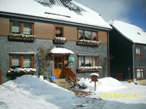 Apartment in Thuringian Forest with garden