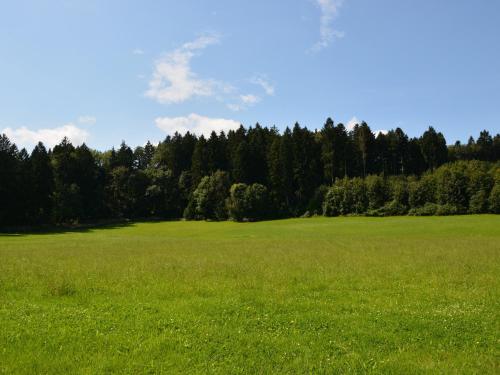 Ferienwohnung Hoherting - image 8