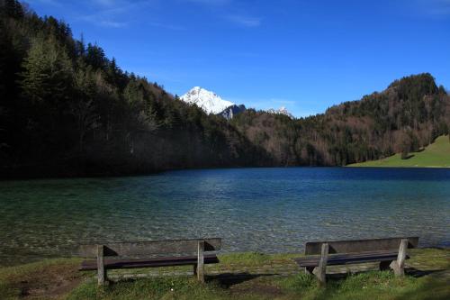 Hotel Restaurant Alatsee - image 4