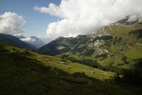 Griesalp Hotels - image 3