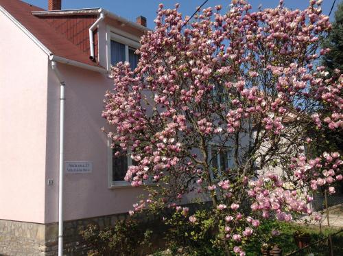  Villa Galina Hévíz, Pension in Hévíz