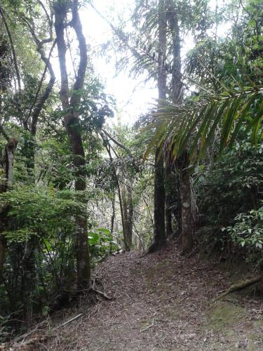 Pousada Recanto Águas Vivas