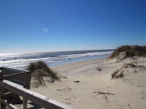 Sea Gull Hatteras (NC)