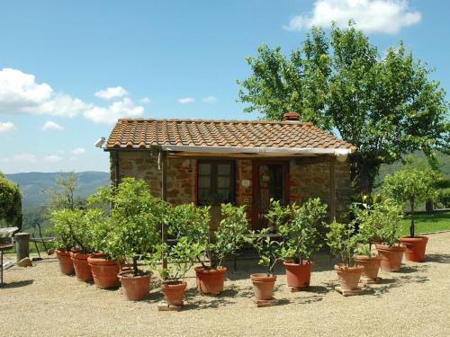  Authentic Cottage with Pool in Civitella, Pension in Civitella in Val di Chiana