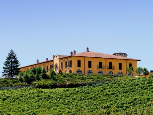  Fabulous Mansion in Nizza Monferrato with Swimming Pool in Nizza Monferrato