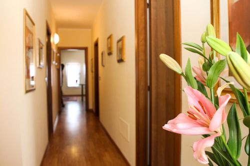 Residence Al Bacareto in Mogliano Veneto
