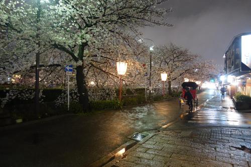 Kyomaru - image 4