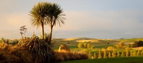 Tree House Lodge Bed & Breakfast Tree House Lodge Bed & Breakfast