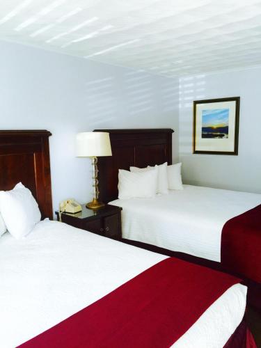 Standard Room with Two Double Beds