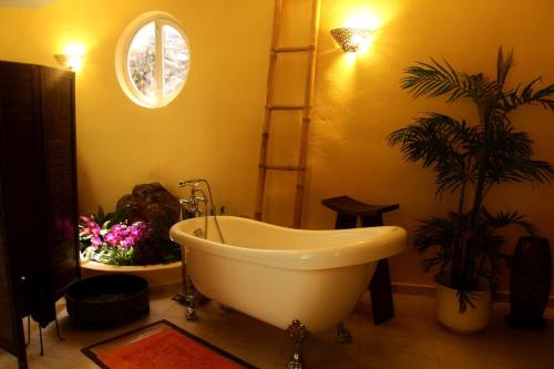 Studio Pablo Finca Montimar in เกียเดอิโซรา