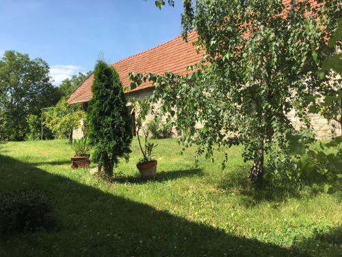 Angel Village - image 5