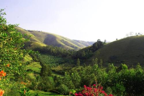 Nyore Hillside Retreat photo