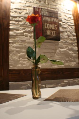 Apartamenty Centrum Zakopane